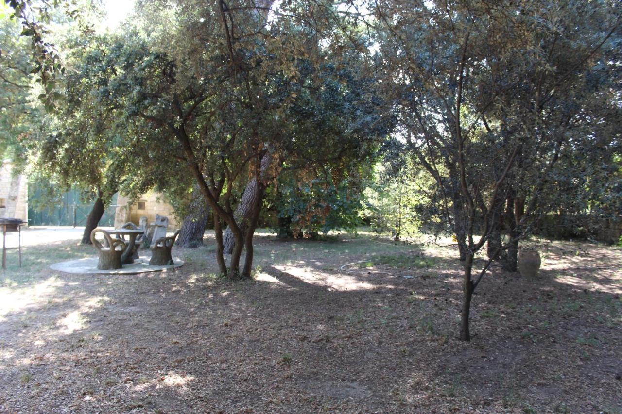 Le Mas De Lucien Entre Arles, Nimes, Avignon. Beaucaire  Exterior photo