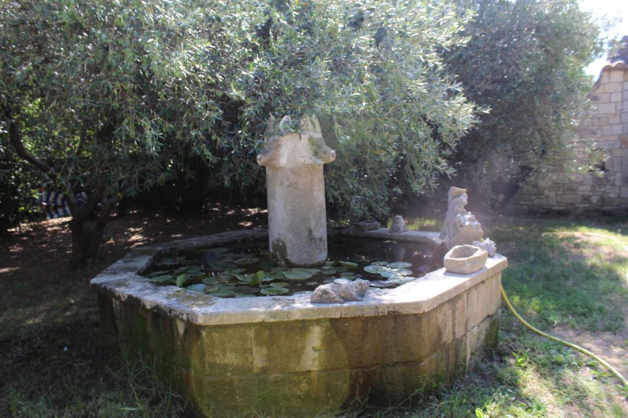 Le Mas De Lucien Entre Arles, Nimes, Avignon. Beaucaire  Exterior photo