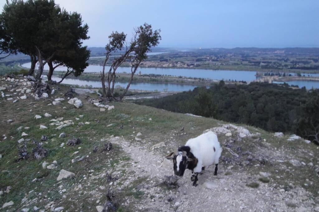 Le Mas De Lucien Entre Arles, Nimes, Avignon. Beaucaire  Exterior photo