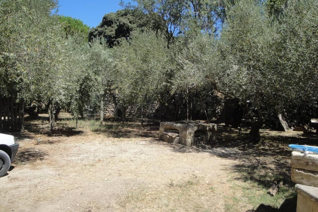 Le Mas De Lucien Entre Arles, Nimes, Avignon. Beaucaire  Exterior photo